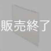 電気パネルヒーター ジローナガラスパネルヒーターシリーズ【販売終了品】